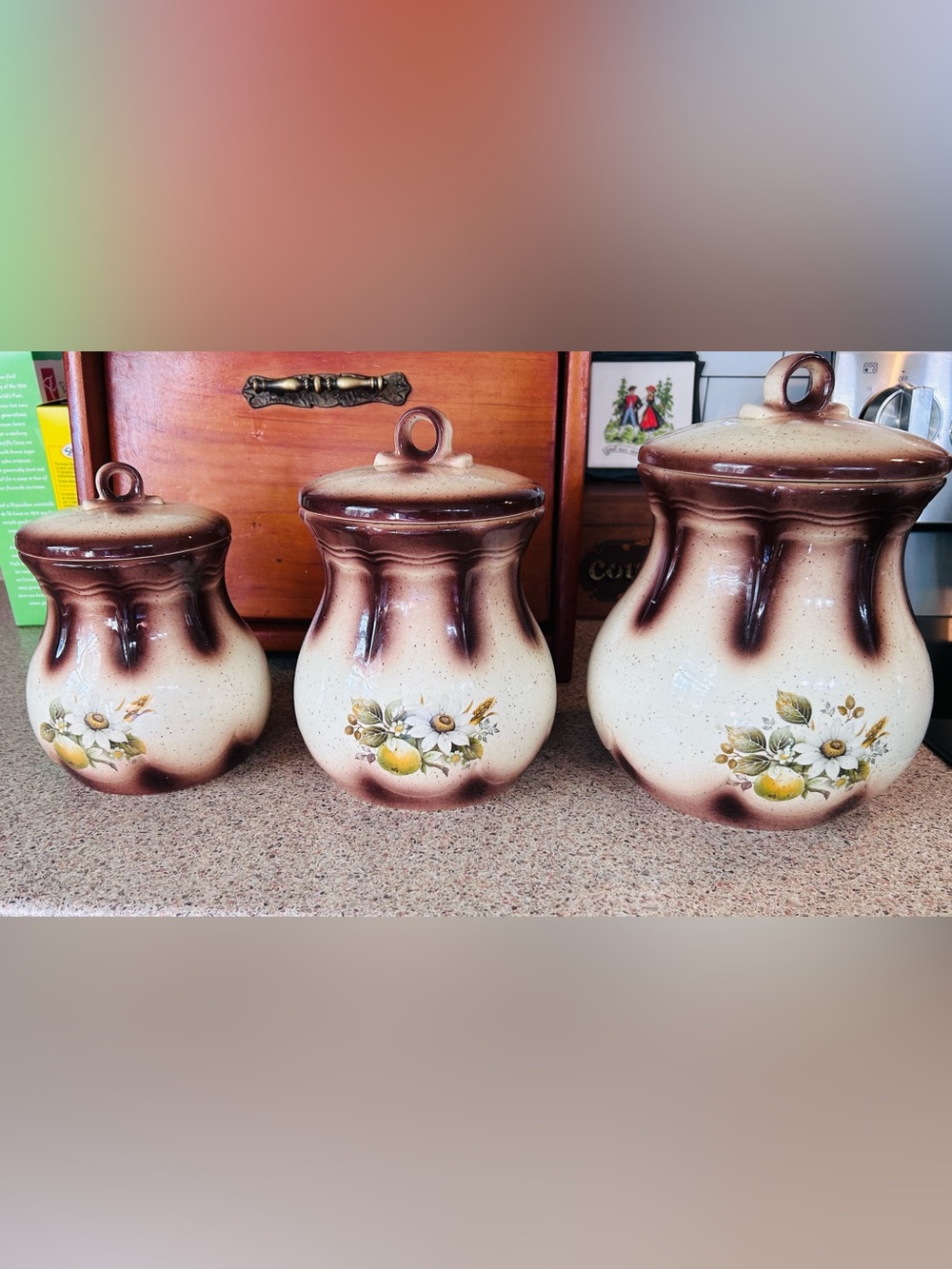 Vintage 1984 Ceramic Kitchen Canister Set of 3 Brown Floral Country